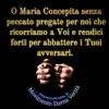 immagine profilo del channel telegram di ️ 💠 Movimento Eterna Verità 💠 M. E. V. 💠
