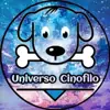 immagine profilo del channel telegram di Uᥒιvᥱrso Cιᥒofιᥣo 🐶
