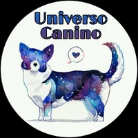immagine profilo del group telegram di Uᥒιvᥱrso Cᥲᥒιᥒo 🐕