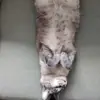 immagine profilo del channel telegram di Animali pucciosi