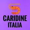 immagine profilo del group telegram di Caridine Italia
