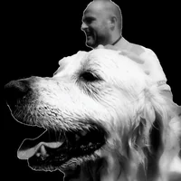 immagine profilo del channel telegram di Parliamo di cani e dintorni - Pillole di cinofilia