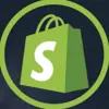 immagine profilo del group telegram di DROPSHIPPING ITALIA💰🇮🇹