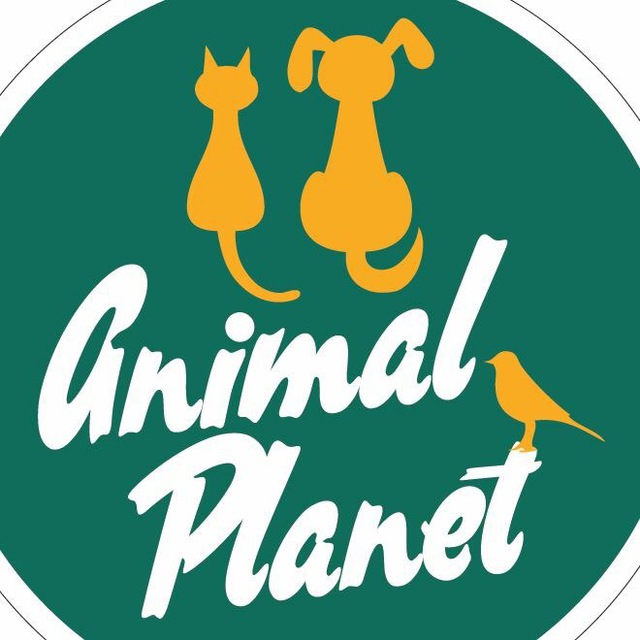 immagine profilo del channel telegram di Animal Planet Agropoli