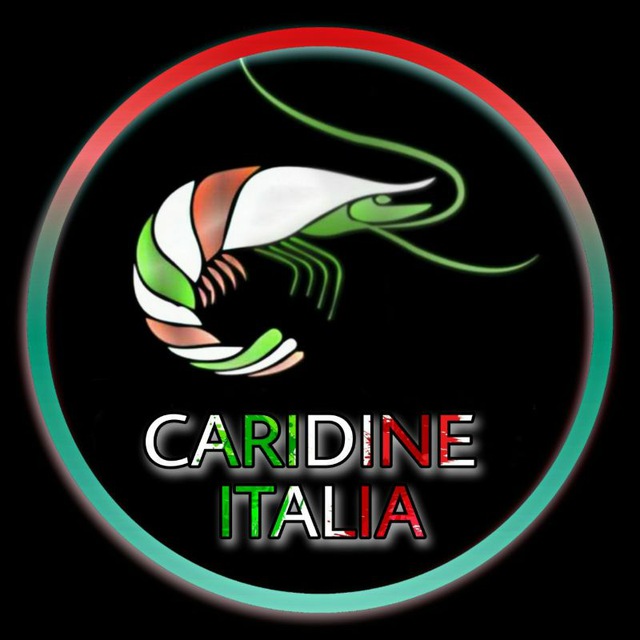 immagine profilo del group telegram di Caridine Italia