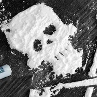 immagine profilo del group telegram di ❗️☠️LAVANDA GASTRICA☠️❗️