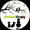 immagine profilo del channel telegram di AиιмαℓGяαм 🇮🇹