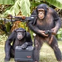 immagine profilo del group telegram di Dio cane