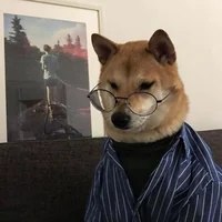 immagine profilo del channel telegram di cαηı ƒαηησ cσsє