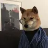 immagine profilo del channel telegram di cαηı ƒαηησ cσsє