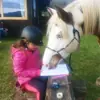 immagine profilo del channel telegram di Etologia equina con Rachele Malavasi - Il comportamento del cavallo