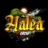 immagine profilo del group telegram di HaleaNetwork - Gruppo