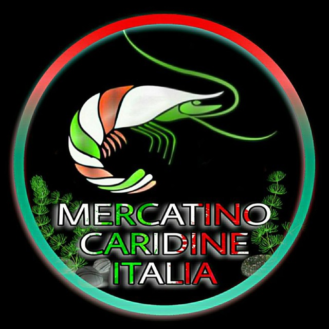 immagine profilo del channel telegram di Mercatino Caridine Italia