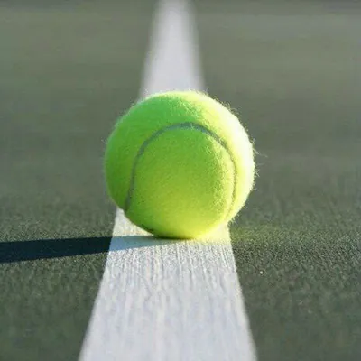 𝐓𝐞𝐧𝐧𝐢𝐬 𝐁𝐞𝐭𝐭𝐢𝐧𝐠 𝐈𝐓𝐀🎾 - Gruppo Telegram