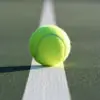immagine profilo del group telegram di 𝐓𝐞𝐧𝐧𝐢𝐬 𝐁𝐞𝐭𝐭𝐢𝐧𝐠 𝐈𝐓𝐀🎾
