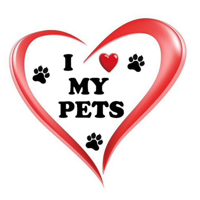 immagine profilo del channel telegram di I Love My Pets