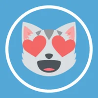 immagine profilo del channel telegram di I gatti di Telegram😻♥️