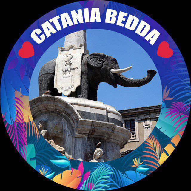 immagine profilo del group telegram di 💙 CATANIA BEDDA 💙