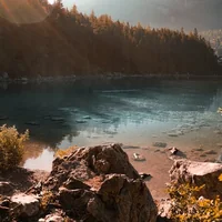 immagine profilo del channel telegram di Peaceful Inn