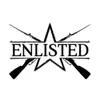 immagine profilo del group telegram di Enlisted Italia