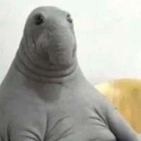 immagine profilo del group telegram di 🎡🎰𝑰𝑹𝑶𝑵𝑰𝑨𝑳𝑨𝑵𝑫🎰🎡