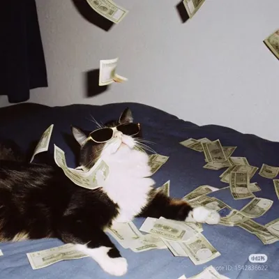 immagine profilo del channel telegram di 𝙂𝙐𝘼𝘿𝘼𝙂𝙉𝙄 𝙊𝙉𝙇𝙄𝙉𝙀 💸 🩻