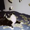 immagine profilo del channel telegram di 𝙂𝙐𝘼𝘿𝘼𝙂𝙉𝙄 𝙊𝙉𝙇𝙄𝙉𝙀 💸 🩻