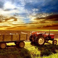 immagine profilo del group telegram di Agricoltura e Allevamento🌳