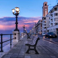 immagine profilo del group telegram di Bari Under 30