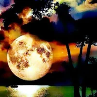 immagine profilo del group telegram di Amicizia Varese e Milano