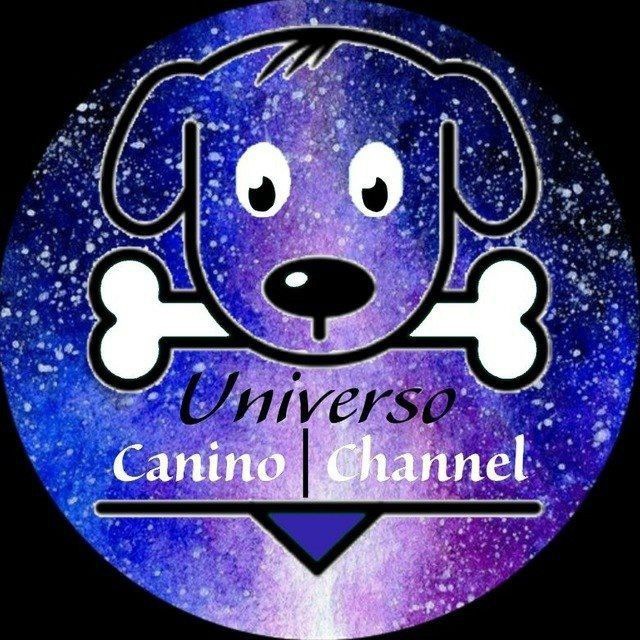 immagine profilo del channel telegram di Universo Canino | Channel