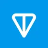 immagine profilo del channel telegram di Toncoin 🇮🇹