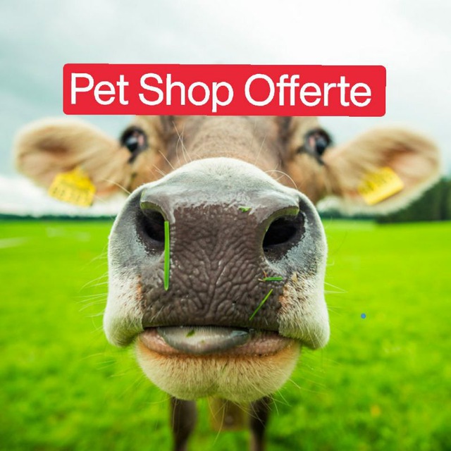 immagine profilo del channel telegram di Pet Shop Offerte Amazon Animali