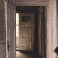 immagine profilo del group telegram di 🌀 Noialandia 🌀