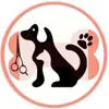 immagine profilo del channel telegram di Zootropolis