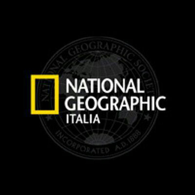 immagine profilo del bot telegram di National Geographic