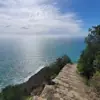 immagine profilo del group telegram di Wanderlust DRD4-7R