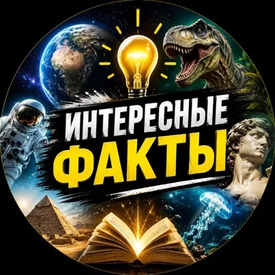 “Интересные факты” - Канал Telegram