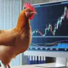 immagine profilo del channel telegram di Chicken Signals