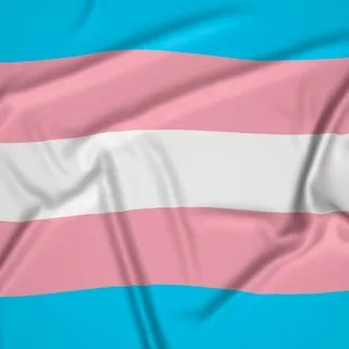 immagine profilo del channel telegram di Trans community