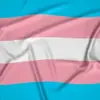 immagine profilo del channel telegram di Trans community