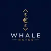 Profile picture: Whale Rates