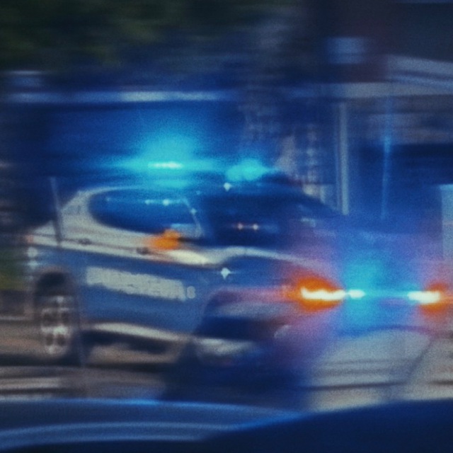 immagine profilo del bot telegram di ~ TALK COMMUNITY BOT ~