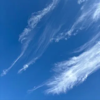 أســـو - قناة Telegram