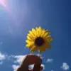 صورة الملف الشخصي: - أدعِيَة؛وأذكّار💛🌻ً.