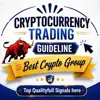 immagine profilo del group telegram di Cryptocurrency Trading Guideline Chat