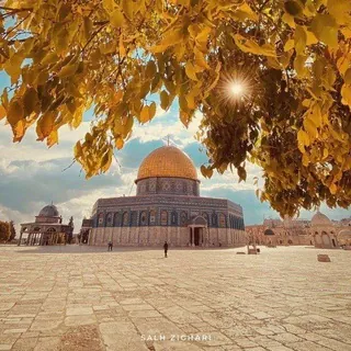 •┈••✦لحـ♪ـن الحيـ♪ـاه✦••┈• - قناة Telegram