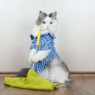 Clean Discussion - Bot Telegram