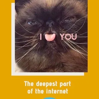 The Deepest Part Of Telegram - Canale Telegram