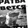 Фото профиля: Данил